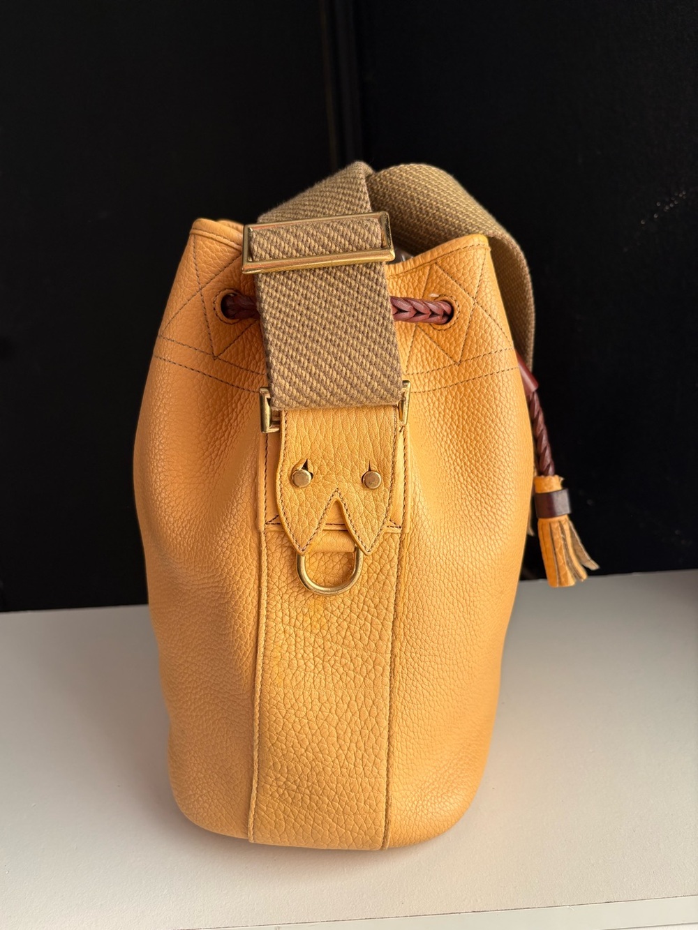 Dooney & Bourke awl Yellow Leather Webster twill strap Drawstring Bucket Bag - Picture 16 of 16